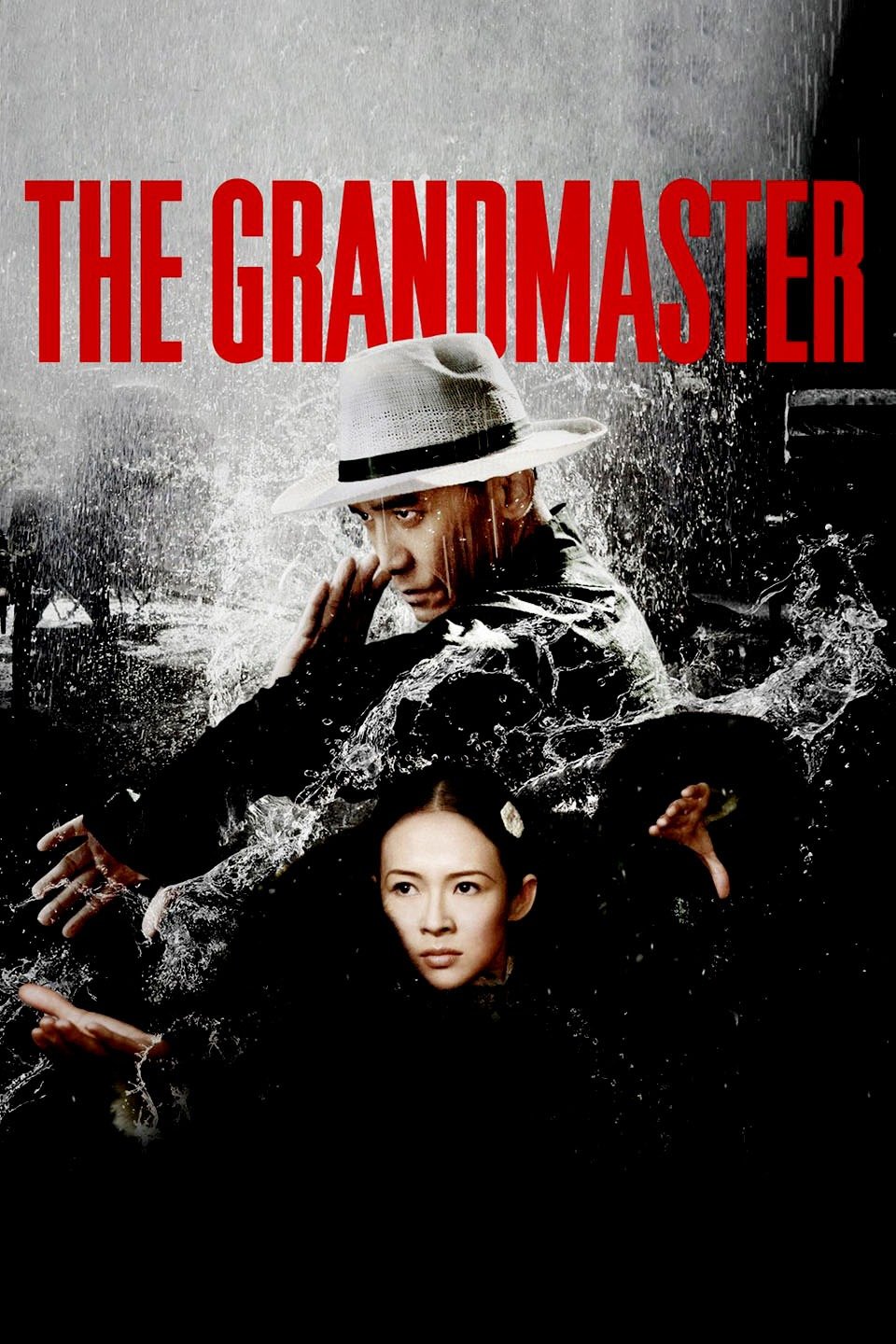 The Grandmaster (2013) [519099] (A1767640086) [[Movies]] --Plex--